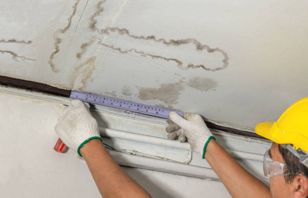 Affordable Ceiling Water Damage Repair solutions in Franklin, IN